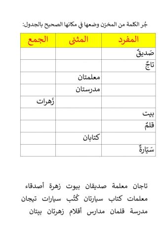 مفرد مثنى جمع