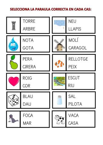 Seleccionar paraula correcta