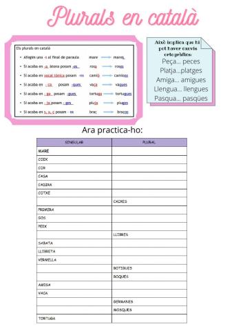 Plurals en català