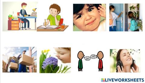 Verbs