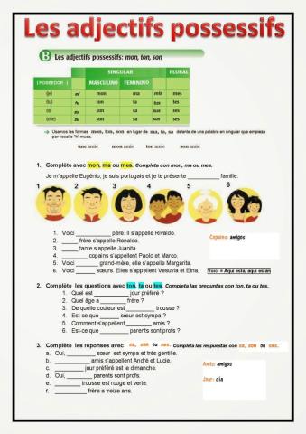 Les adjectifs possessifs