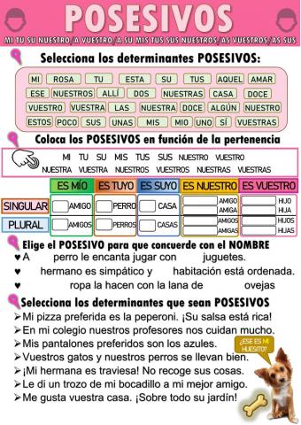 Los determinantes posesivos