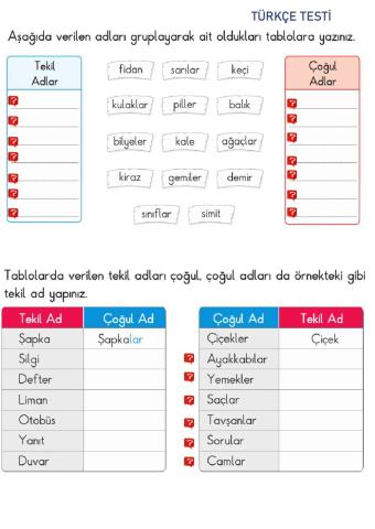 Türkçe