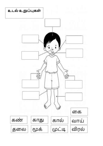 உடல் நலக்கல்வி