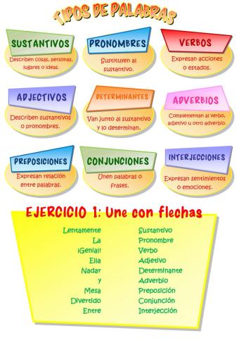 Los tipos de palabras