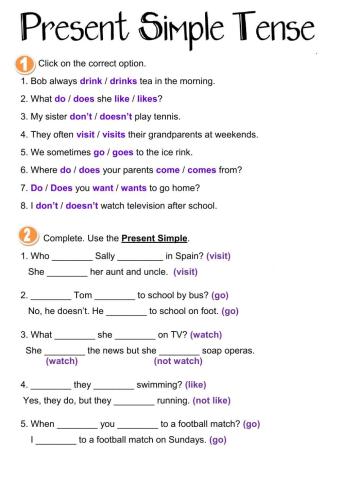 Present Simple Tense